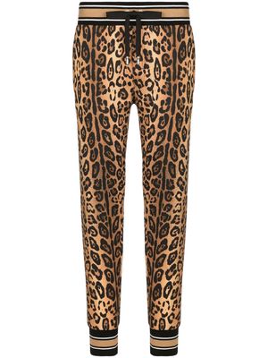 Dolce & Gabbana leopard-print cotton track pants - Brown