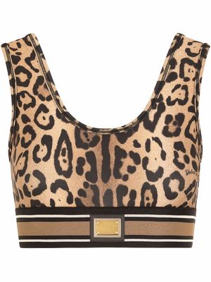 Dolce & Gabbana leopard-print crop top - Brown