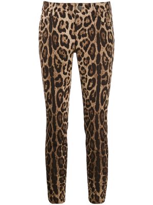 Dolce & Gabbana leopard-print cropped jeans - Neutrals