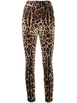 Dolce & Gabbana leopard-print cropped leggings - Neutrals