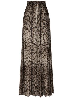 Dolce & Gabbana leopard-print culotte trousers - Black