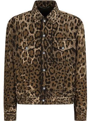 Dolce & Gabbana leopard-print denim jacket - Brown