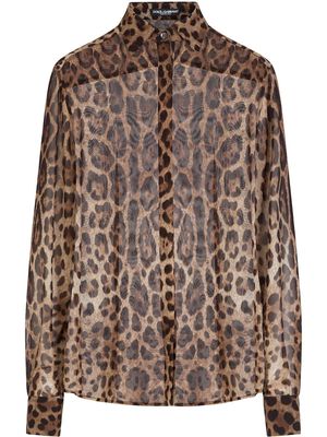Dolce & Gabbana leopard-print georgette shirt - Brown