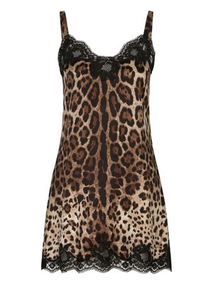Dolce & Gabbana leopard-print lace-detail camisole - Neutrals