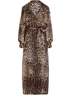 Dolce & Gabbana leopard-print organza trench coat - Brown