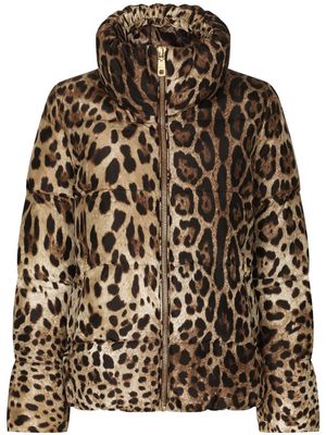 Dolce & Gabbana leopard-print padded jacket - Brown