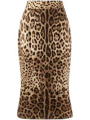Dolce & Gabbana leopard-print pencil skirt - Neutrals