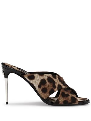 Dolce & Gabbana leopard-print stiletto mules - Brown