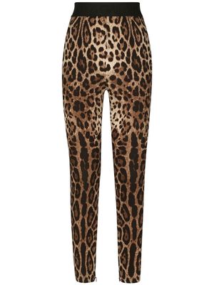 Dolce & Gabbana leopard-print stretch-silk leggings - Brown