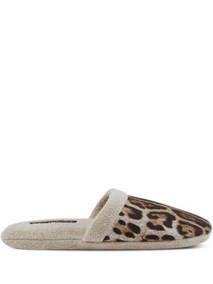 Dolce & Gabbana leopard-print terry slippers - Neutrals