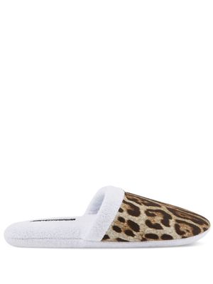 Dolce & Gabbana leopard-print terry slippers - White