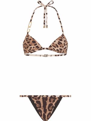 Dolce & Gabbana leopard-print triangle bikini - Brown