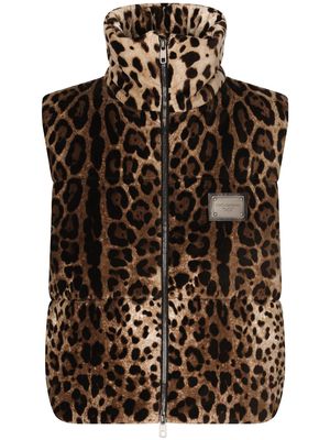 Dolce & Gabbana logo-plaque leopard-print gilet - Brown