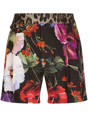 Dolce & Gabbana multi-print tailored shorts - Black