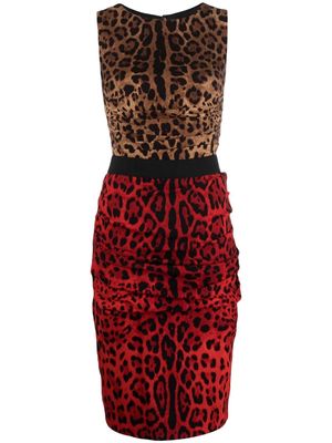Dolce & Gabbana Pre-Owned leopard-print fitted sleeveless dress - Brown