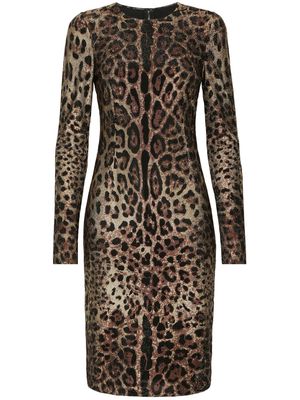 Dolce & Gabbana rhinestone-embellished leopard-print midi dress - Brown