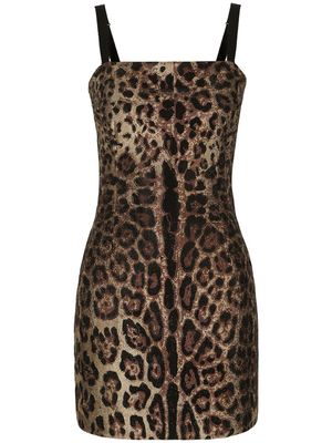 Dolce & Gabbana rhinestone-embellished leopard-print minidress - Brown