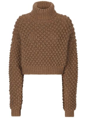 Dolce & Gabbana roll-neck cropped jumper - Brown