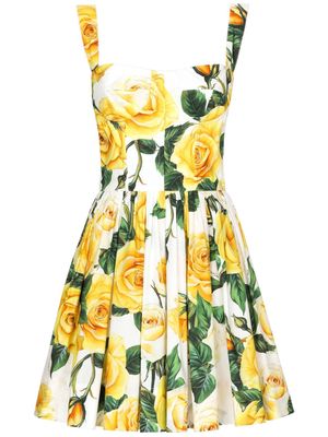 Dolce & Gabbana rose-print cotton minidress - Yellow