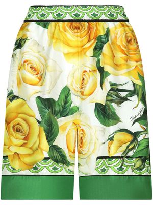 Dolce & Gabbana rose-print silk shorts - Green