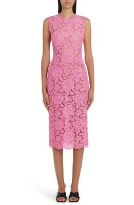 Dolce & Gabbana Sleeveless Semisheer Lace Midi Dress in Bright Pink
