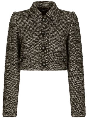 DOLCE & GABBANA tweed cropped button-up jacket - Brown