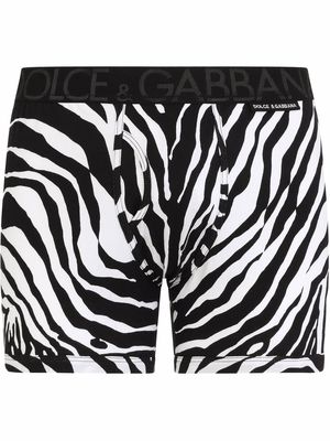 Dolce & Gabbana zebra-print boxer briefs - Black