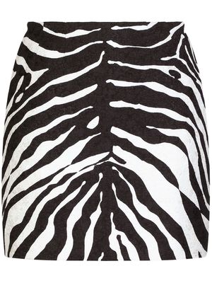 Dolce & Gabbana zebra print brocade miniskirt - Black