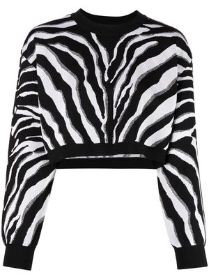 Dolce & Gabbana zebra-print cropped jumper - Black