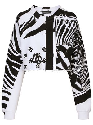 Dolce & Gabbana zebra print cropped sweatshirt - Black