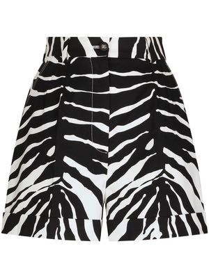 Dolce & Gabbana zebra-print high-waisted shorts - Black