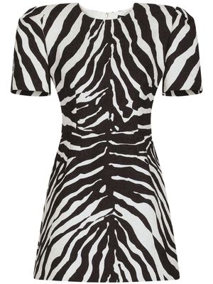 Dolce & Gabbana zebra-print short-sleeve dress - Black