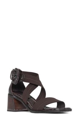 Donald Pliner Helen Strappy Sandal in Dark Brown