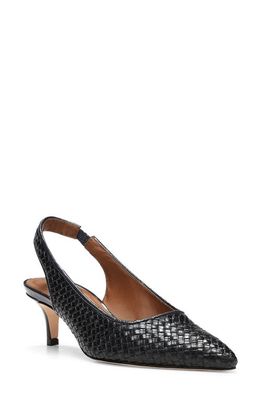 Donald Pliner Olympia Slingback Pointed Toe Pump in Navy