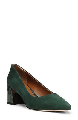 Donald Pliner Suzette Pointed Toe Pump in Evergreen