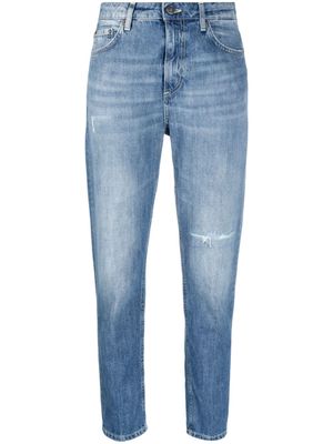 DONDUP tapered-leg cropped jeans - Blue