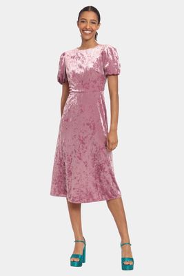 Donna Morgan Women's Velvet Short Sleeve Midi Dress in Grape Nectar