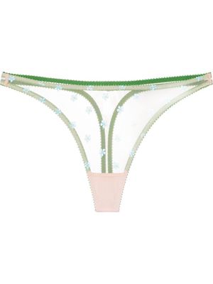 Dora Larsen floral-embroidery lace-panel thong - Neutrals