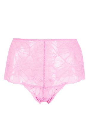 Dora Larsen Vita lace high-waist briefs - Pink
