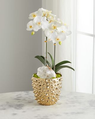 Double Orchid Arrangement in Golden Spike Pot