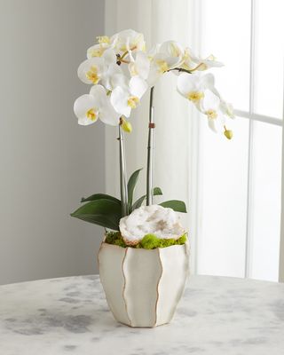 Double Orchid Arrangement in White Finned Pot