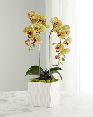 Double Orchid Faux Floral Arrangement with White Ceramic Vase