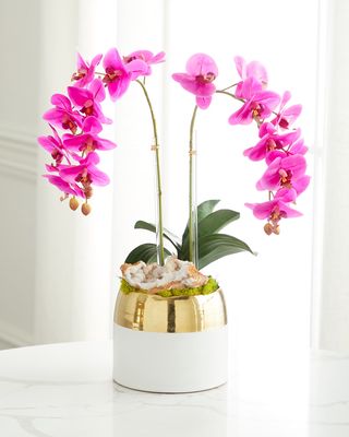 Double Orchid Faux Floral in Gold-Rimmed Ceramic Container - 22"