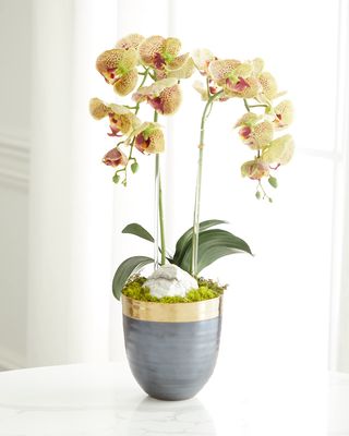 Double Orchid Faux Florals in Gold-Rimmed Ceramic Pot with Zebra Stone - 22"