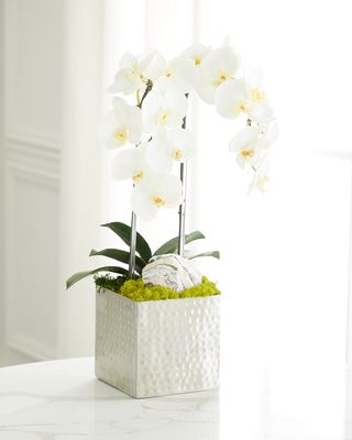 Double Orchid Faux Florals in Silver Hammered Metal Container with Zebra Stone - 22"
