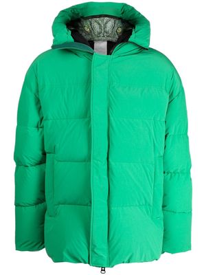 Doublet padded animal motif-hoodie jacket - Green