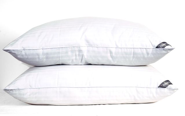 Down Home Nearly Down MicroGel Traditional 2 Pack Pillow in White Jumbo