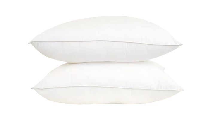 Down Home SilvaSleep Traditional Pillow in White Single: Jumbo