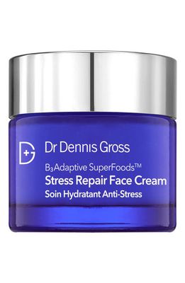 Dr. Dennis Gross Skincare B3Adaptive SuperFoods™ Stress Repair Face Cream