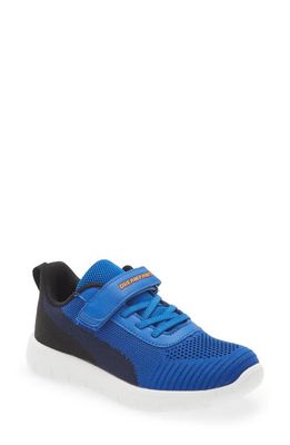 DREAM PAIRS Knit Low Top Sneaker in Royal/Blue/Navy/Black